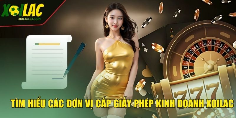 Tìm hiểu các đơn vị cấp giấy phép kinh doanh XOILAC